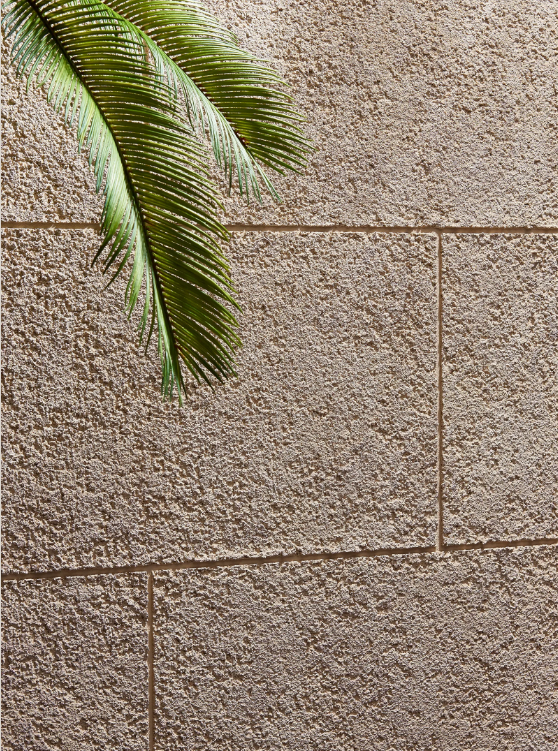 decorative texture paint Singapore, textured wall paint Singapore, acrylic texture paint, BELLART texture paint, interior decorative wall coating,  wall texture finishes Singapore, water-based texture paint, anti-fungus wall paint, decorative wall finishes (stucco, travertine, etc.), textured paint for interior walls, commercial wall coating solutions, architectural finishing coatings Singapore, textured paint for office / hotel / house, decorative textured paint for walls in Singapore, best texture paint for interior design Singapore, acrylic decorative wall coating anti fungus, textured wall paint patterns (stucco, sandstone, travertine), water-based decorative paint for commercial buildings, unique wall texture design paint Singapore,  texture paint supplier Singapore,  decorative wall coating Singapore, interior wall paint Singapore contractor, wall texture finishing services Singapore